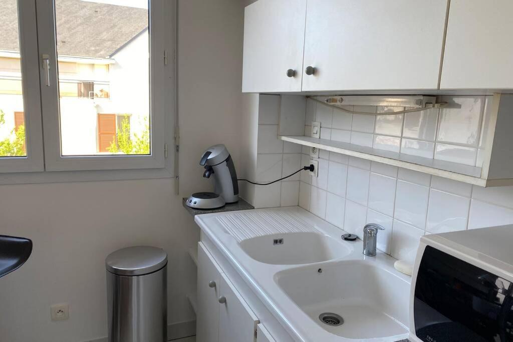 Charmant Appartement En Bord De Cher Saint-Avertin Kültér fotó