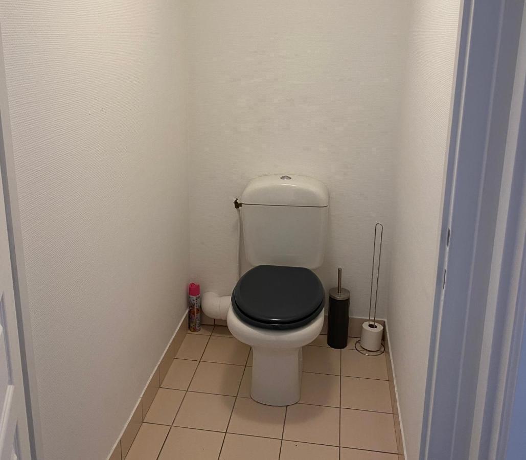 Charmant Appartement En Bord De Cher Saint-Avertin Kültér fotó